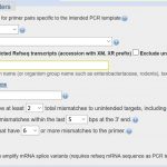 NCBI Primer pair specificity checking parameters