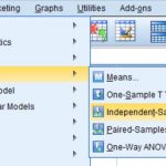 SPSS independent t test