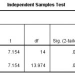 SPSS independent t test output 2