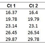 Primer efficiency average Ct values