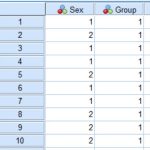 Pearson’s chi-squared test in SPSS example data