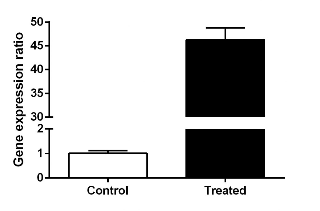 qPCR two groups