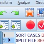 SPSS Split File Syntax