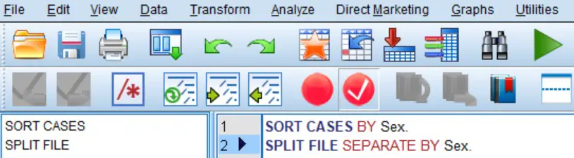 SPSS Split File Syntax
