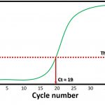 qPCR amplification plot with threshold