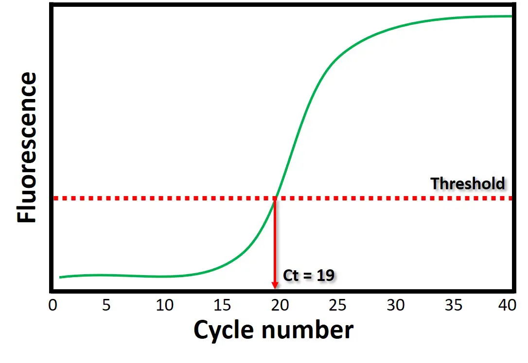 qPCR amplification plot with threshold - Top Tip Bio