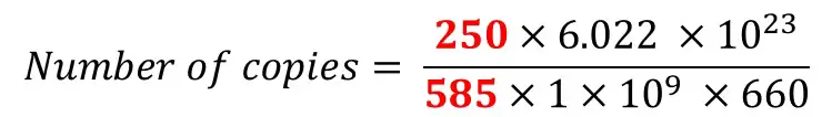 DNA copy number equation qPCR example