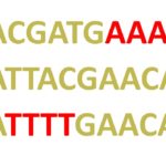 qPCR primers avoid nucleotide repeats