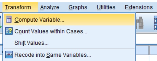 run an average of a single question in spss 25