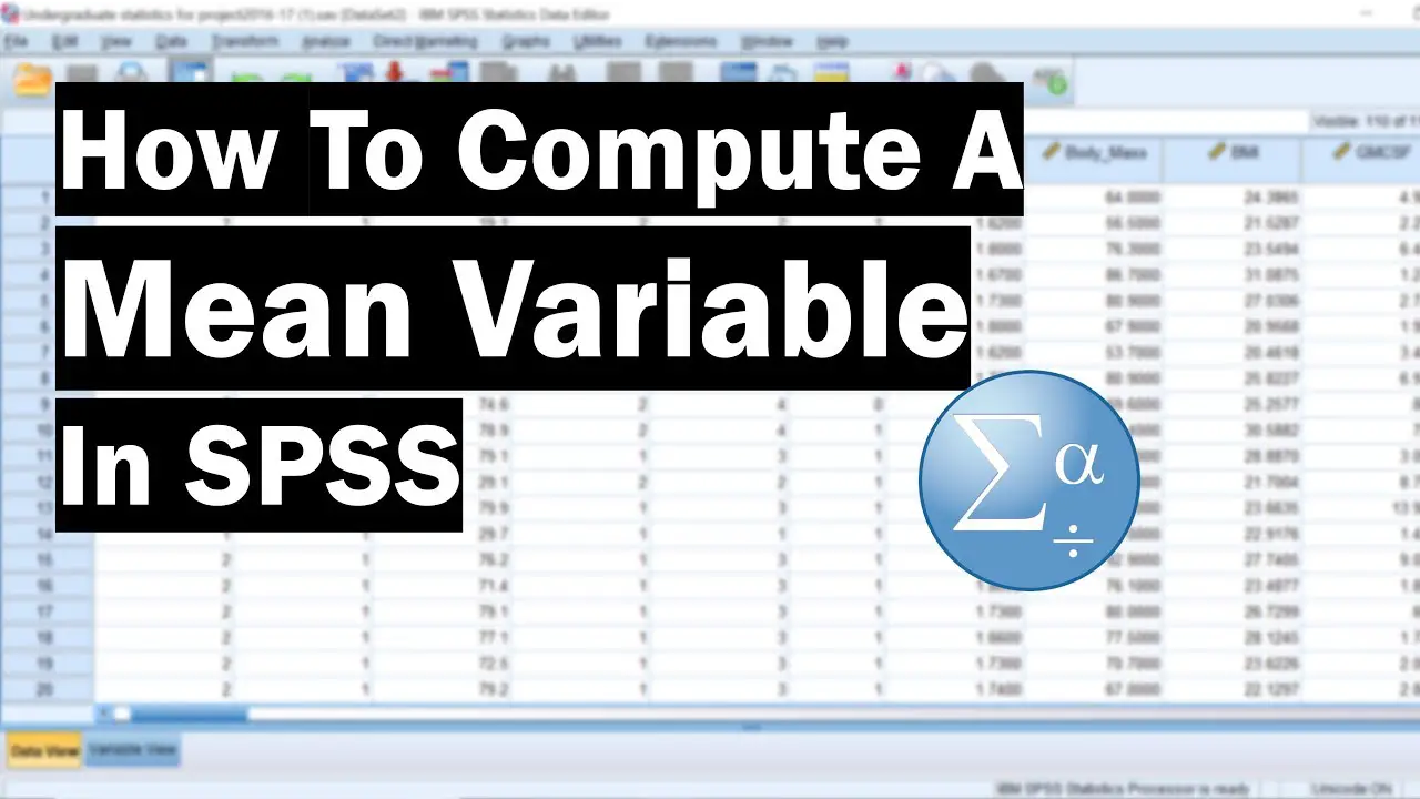 spss-statistics-meaning-dasechoice