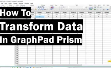 graphpad prism 5 guide
